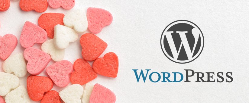 Reasons To Love WordPress